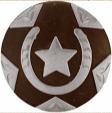 Nickle Horseshoe Star